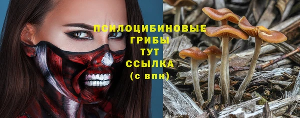 прущая мука Бородино